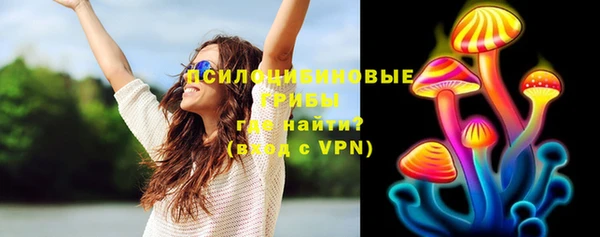 PSILOCYBIN Куйбышев